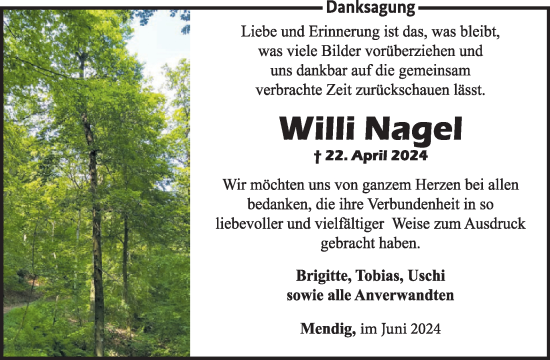 Traueranzeige von Willi Nagel von WochenSpiegel